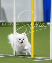 2025-7-12-July-Trial-405