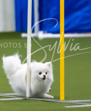 2025-7-12-July-Trial-408