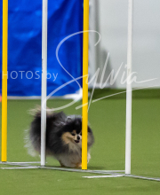 2025-7-12-July-Trial-417