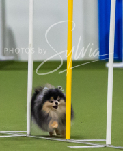 2025-7-12-July-Trial-423