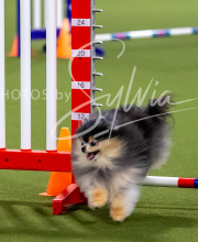 2025-7-12-July-Trial-430