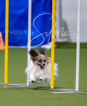 2025-7-12-July-Trial-435