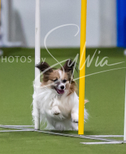 2025-7-12-July-Trial-437