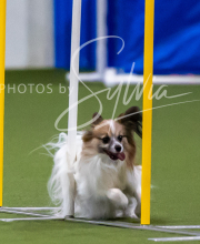 2025-7-12-July-Trial-440