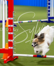 2025-7-12-July-Trial-442