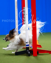 2025-7-12-July-Trial-444