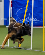 2025-7-12-July-Trial-449