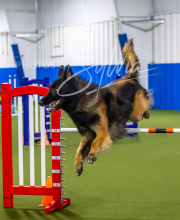 2025-7-12-July-Trial-452