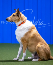 2025-7-12-July-Trial-459