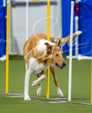 2025-7-12-July-Trial-464