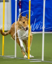 2025-7-12-July-Trial-467