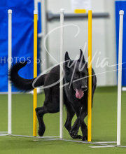 2025-7-12-July-Trial-47-2