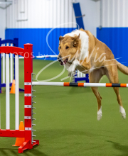 2025-7-12-July-Trial-470