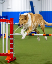 2025-7-12-July-Trial-471