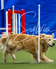 2025-7-12-July-Trial-476