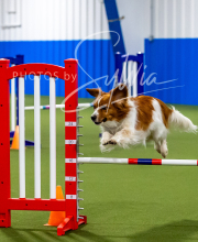 2025-7-12-July-Trial-48