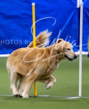 2025-7-12-July-Trial-481