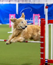 2025-7-12-July-Trial-484