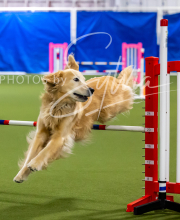 2025-7-12-July-Trial-485