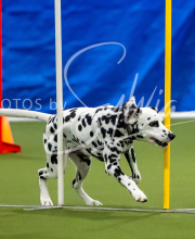 2025-7-12-July-Trial-486