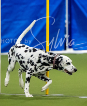 2025-7-12-July-Trial-488