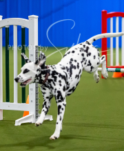 2025-7-12-July-Trial-491