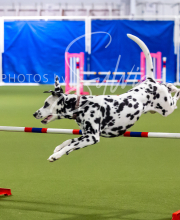 2025-7-12-July-Trial-494