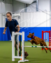 2025-7-12-July-Trial-501