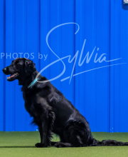 2025-7-12-July-Trial-508