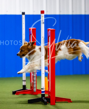 2025-7-12-July-Trial-51