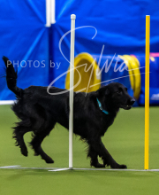 2025-7-12-July-Trial-515