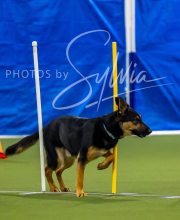 2025-7-12-July-Trial-521