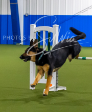 2025-7-12-July-Trial-529