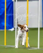 2025-7-12-July-Trial-53