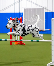 2025-7-12-July-Trial-539