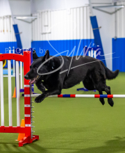 2025-7-12-July-Trial-54-2