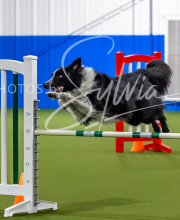 2025-7-12-July-Trial-543