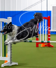 2025-7-12-July-Trial-544