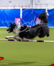 2025-7-12-July-Trial-546