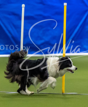 2025-7-12-July-Trial-552