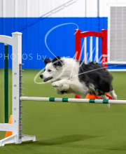 2025-7-12-July-Trial-557