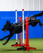 2025-7-12-July-Trial-56-2