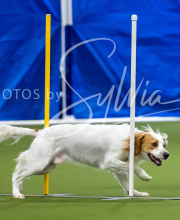 2025-7-12-July-Trial-566