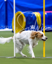 2025-7-12-July-Trial-569