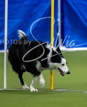 2025-7-12-July-Trial-571