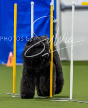 2025-7-12-July-Trial-58-2