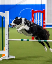 2025-7-12-July-Trial-580