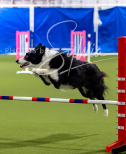 2025-7-12-July-Trial-583