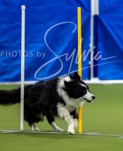 2025-7-12-July-Trial-586