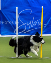 2025-7-12-July-Trial-588